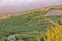 Bethlehem from shepherd's field