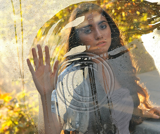 "Reflection"