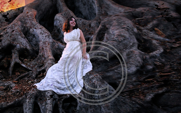 "Lace & Roots"