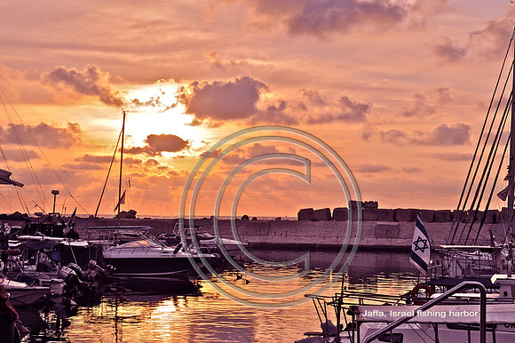 Jaffa Fishing Harbor"