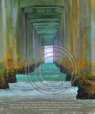 "The Door"